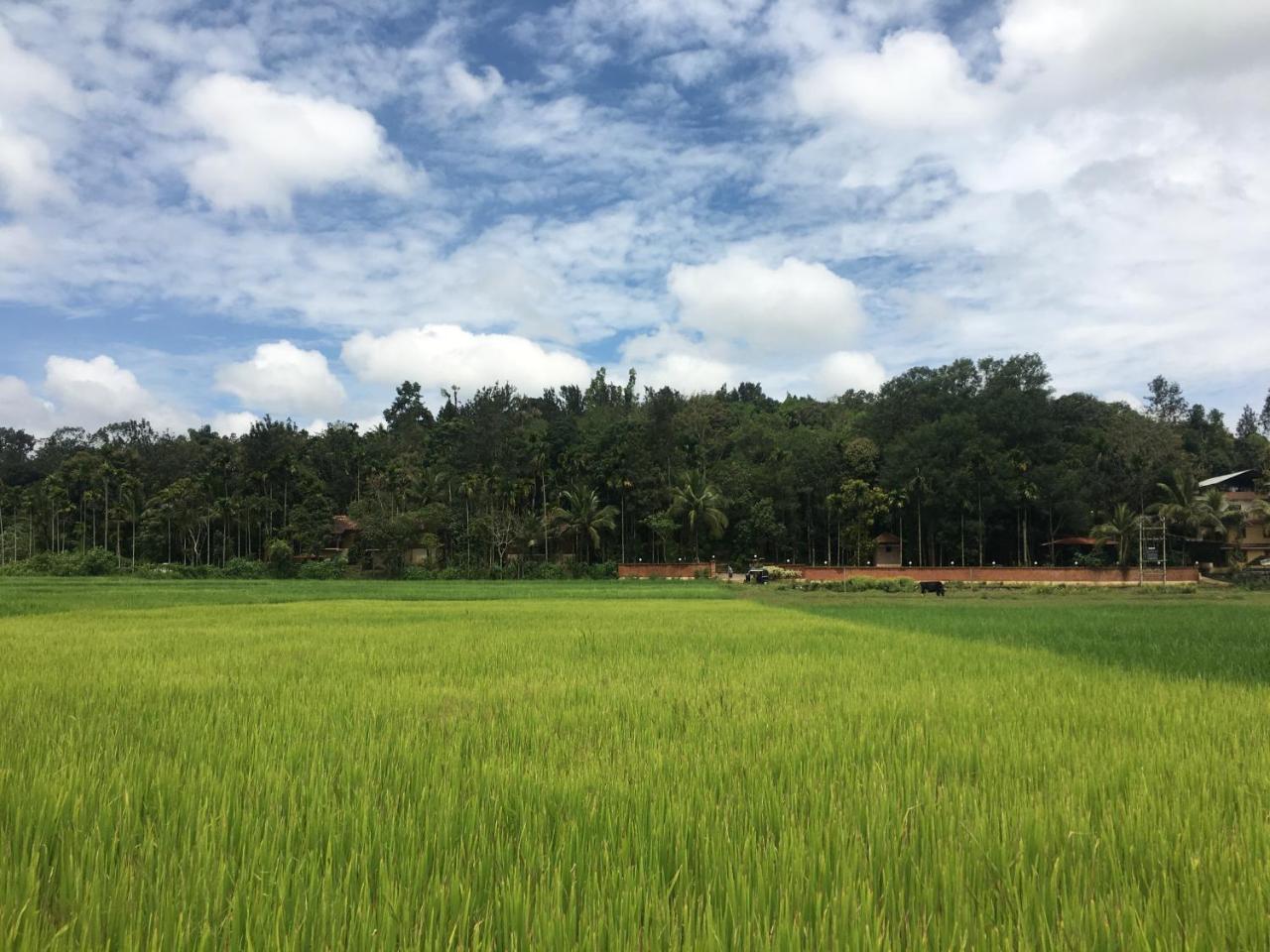 Raindrops Resorts Wayanad Sultan Bathery Exterior photo